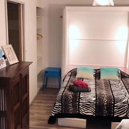 Grand Studio Cahors Centre Rdc Proche Gare Pont Valentre Apartment Exterior photo